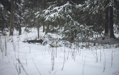 Särmä TST L7 Camouflage Anorak.