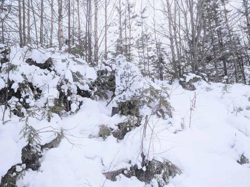Särmä TST L7 Camouflage Anorak.