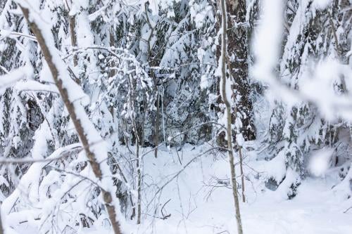 Särmä TST L7 Camouflage Anorak.