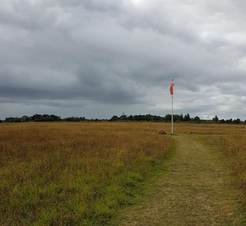 Heathery field with a red flag on a pole.