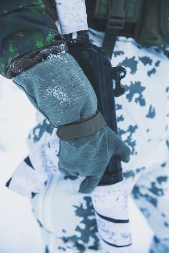 BW NBC combat gloves, Nomex, Green.