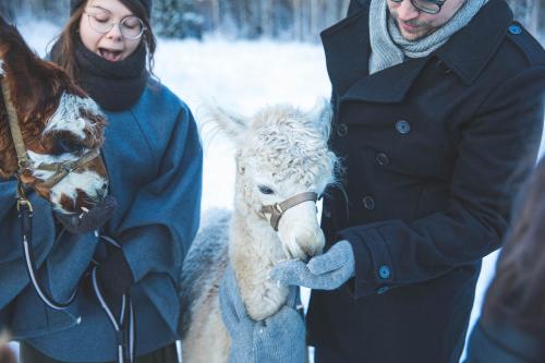 Särmä Alpaca Mittens. 