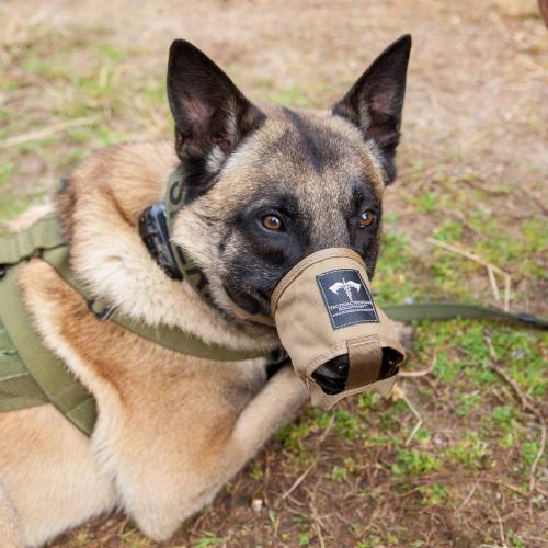 TacMed K9 Muzzle. 