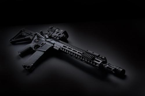 EOTECH HWS EXPS3-0 Holographic Sight.