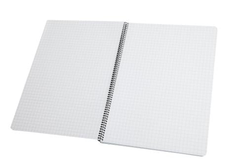 Modestone A4 Waterproof Notebook. Limestone based paper with 7 mm (0.3") squares.