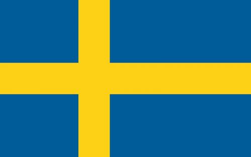 Some kind of a flag, 150 x 90 cm Some kind of a flag, 150 x 90 cm