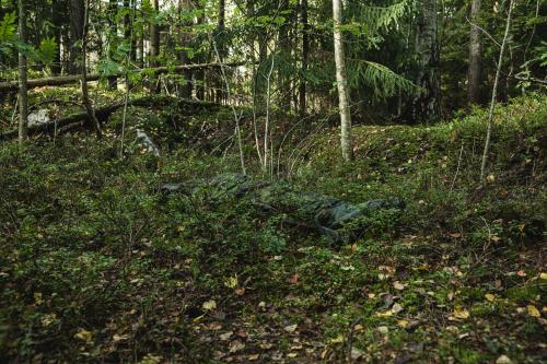 Carinthia Finnish M05 Sleeping Bag, M05 Woodland Camo. The pattern disappears nicely into the forest.