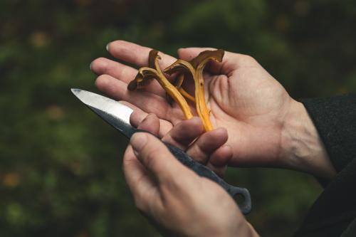 Terävä Tiny Knife, Carbon Steel. 